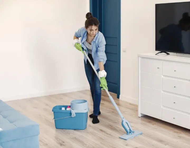Femme de ménage Loupershouse